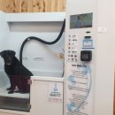 씻고가개 이미지