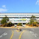 벌말천 미디어투데이