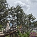 산문어세상 | 나트랑 달랏 3일차. 달랏 랑비앙산. 달랏 크레이지 하우스.