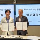 디지털살루스