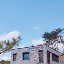 한반도습지생태문화관 | [영월여행]전기카트 체험관과 한반도습지생태문화관 후기