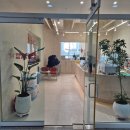 이리온 댕댕 이미지