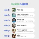 군영숲 | 필리핀 보홀 여행 반나절 호핑 업체 팁 육상 투어 추천 가격 짚라인