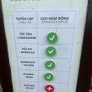 에버랑스 | [250811] 다낭여행(2) - 바나힐 썬월드 - 빨리빨리코스, 골든브릿지 사진 스팟 꿀팁, 다낭 시내 마사지...