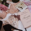 란제리쇼핑 이미지