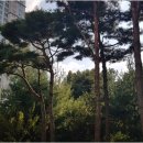 갤럭시공인중개사사무소 | 젊은 감각의 광교 부동산 중개, 갤럭시 공인중개사사무소 이야기