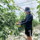 봉화1농장 이미지