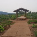 신대농장 이미지