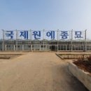 연세원예조경
