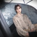 디노스쿨