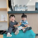 공룡풀빌라펜션 이미지