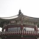 치노카푸 Daum카페