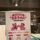 황.돈 | 대전 케이크 1황 ‘땡큐베리머치’ 내돈 후기/ 서울쥐 대전여행