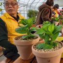 이명희농장 이미지