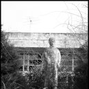 대서서초등학교 이미지