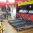 스타복싱클럽 연천 이미지