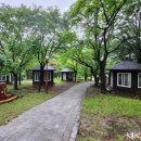 장계관광지 이미지