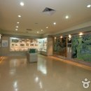 강원대학교박물관 Daum카페