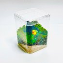 내 책상위의 작은 숲 테라리움 이미지