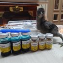 계두농장 이미지