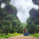 파평도서관 | 논산 돈암서원, 명재고택, 익산 아가페 정원, 전주 경기전, 덕진공원 연화정 도서관