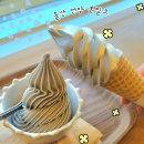 유진목장 | [울산]언양 유진목장 우유아이스크림 맛집 본밀크 내돈내산 솔직후기|본밀크 흑임자맛 밀크맛