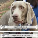 THE STAY 여기 네이버블로그