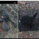 낄낄고양이 이미지