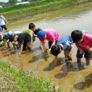 합천초등학교 이미지
