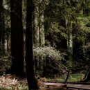 THE웃는치과의원 이미지