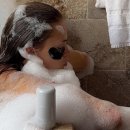 The튼튼약국 이미지