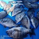 방파제 낚시 편의점 이미지