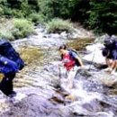 신동상회 이미지