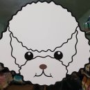 살구펫 네이버블로그