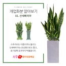 정화고려제과
