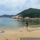 푸른섬펜션 | 청산도 낚시 도시락 추천 / 낚시 출조 , 새벽 조업 푸른섬 도시락 주문 하세요~