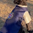 사계절마트 이미지