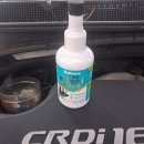 뉴아리랑 카서비스 이미지