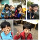 비룡태권도체육관 이미지