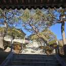 연곡리 주차장 이미지