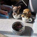 교동짬뽕상모사곡점 | 구미 상모사곡 불맛이 강한 짬뽕맛집 탕수육이 맛있는 교동짬뽕