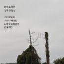 바람소리 이미지