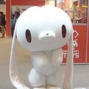 후와후와
