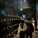 (주)플래닛 | [도쿄 여행] 도쿄 가볼만한 곳 - 물과 빛을 이용한 체험형 전시 <도쿄 팀랩 플래닛> 내돈내산 후기