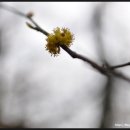 명암약수터 이미지