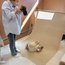 주아트 스튜디오 | 강서구 베이비스튜디오 레브블랑 / 오브 산후조리원 제휴 스튜디오 본아트, 50일 촬영후기