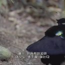문현곱창 - 해운대구 세실로 97 | 문현곱창