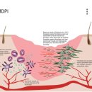 바디페이스 이미지
