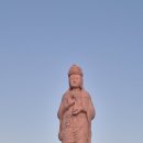 정인회식당 | 양양 낙산사 맛집 내돈내산 물회 맛집 "정인회식당" 혼밥혼술 후기