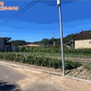 군북면체육관 네이버블로그